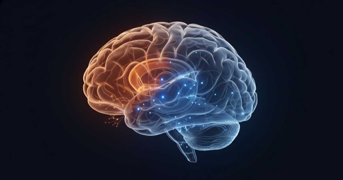 Ilustración del cerebro procesando el lenguaje durante un bloqueo