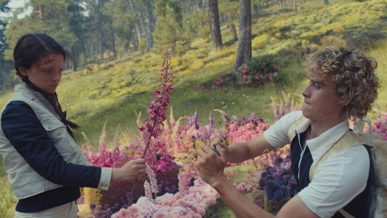 Young Haymitch and a girl among pink flowers in a meadow in The Hunger Games: Sunrise on the Reaping